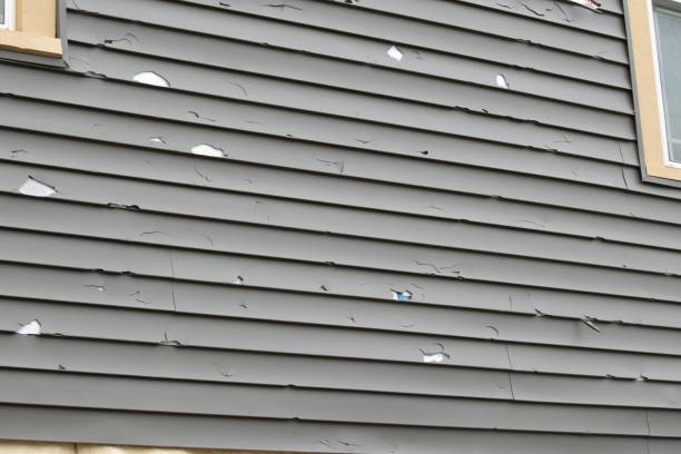 Best Historical Building Siding Restoration  in Interlaken, CA